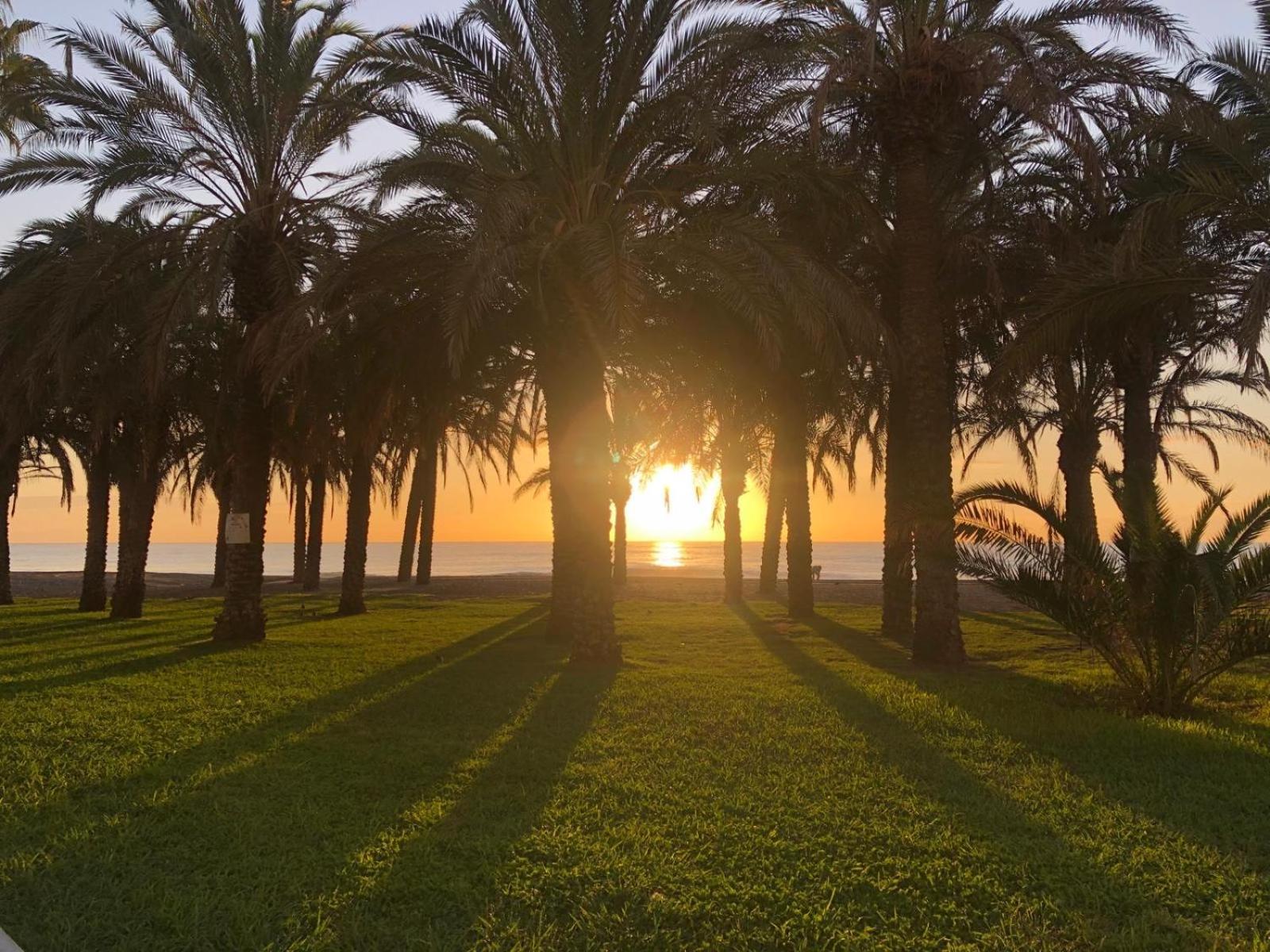 Apartamento Playamar - Torremolinos Primera Linea Playa Dış mekan fotoğraf